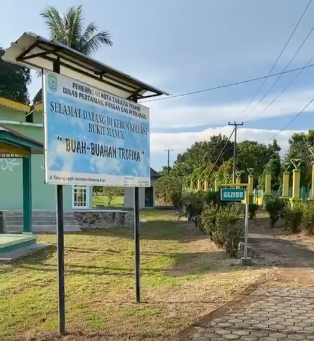 Destinasi Edukasi dan Wisata Bukit Manuk : Keanekaragaman Buah Buahan