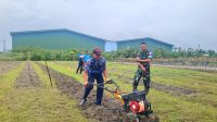 IMG-20250206-WA0091